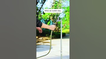 Béc tưới phun mưa đường kính 12m #nôngnghiệphay #nôngnghiệpsạch #bectuoiphunmua #phuntuoithongminh