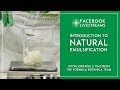 Introduction to natural emulsification with formula botanica