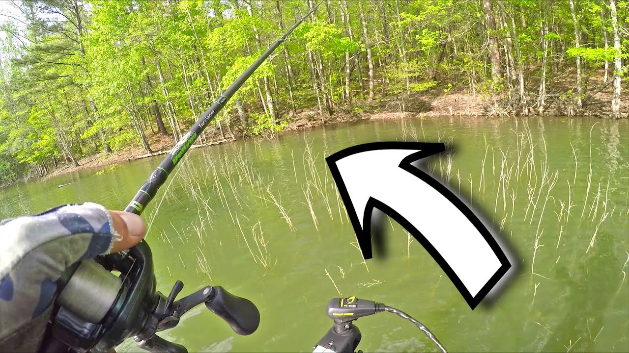 I LOVE Confrontation! Catching GIANT Spawning Bass 