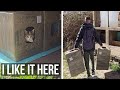 Pregnant Cats Can’t Believe Their Eyes – Two Cozy, Warm Shelters Just for Them! | Love Street Cats