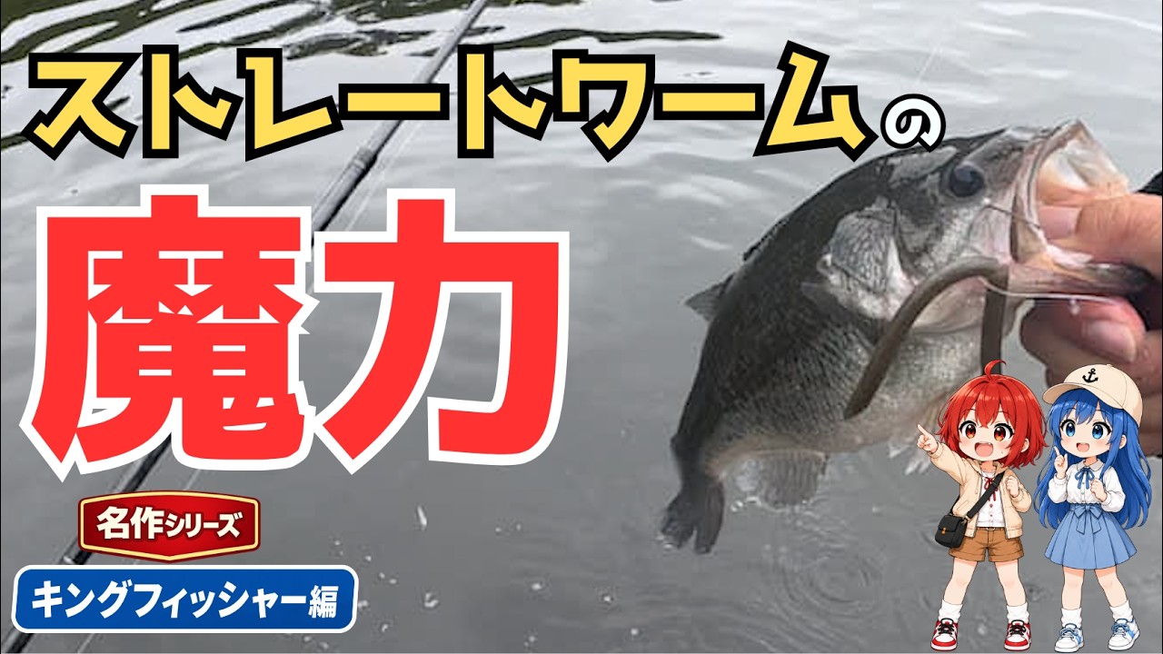 キングフィッシャー｜あえて混雑する日曜日に行ってみたら…