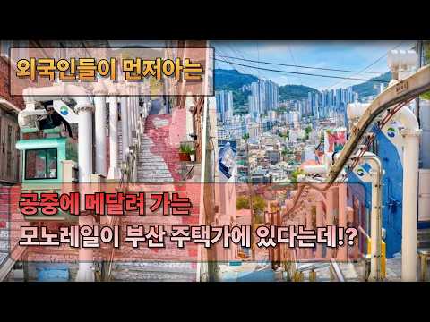 [이색 탐방] "공중에 매달려 간다고?!" 외국인들이 먼저 오픈런하는 부산의 역대급 숨은 명소 🚡 | Busan [4K]⁠