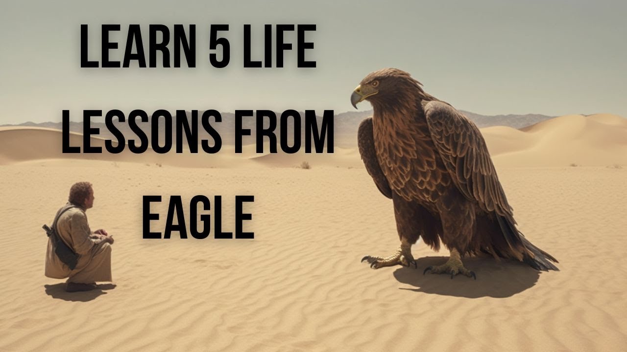 Lesson From An Eagle