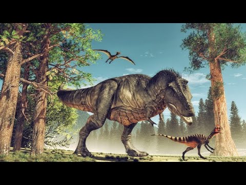 Video: Din ce este făcut dippy dinozaurul?
