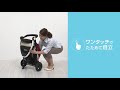 Graco(グレコ) 3輪 ベビーカー バギー シティトレック CitiTrek レッドRD 1か月~