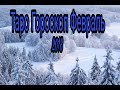 Таро Гороскоп Февраль