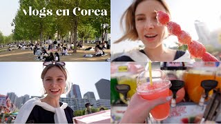 VIDA EN COREA: picnic en el Río Han 🧺/ consejos para la primera cita !❤️