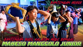 GAMOK GAWOR‼️MAHESO MANGGOLO JUNIOR FULL KALAPAN BAG GRABAG LIVE SRIGADING LAWANG