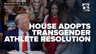 Michigan House adopts resolution affecting transgender women in sports after heated debate