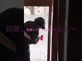 【店舗diy】入口に目隠しシート貼るよ覗かれたら嫌よね～ #diy #へっぽこ #diy女子