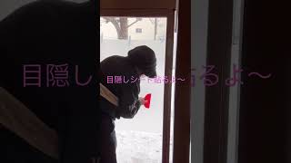 【店舗diy】入口に目隠しシート貼るよ覗かれたら嫌よね～ #diy #へっぽこ #diy女子