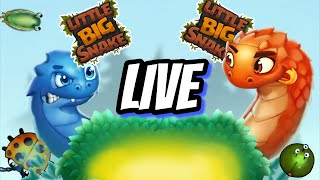 Little Big Snake Stream 68