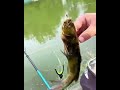 Fishing Pliers Gripper - The Best Gift for Fishermen