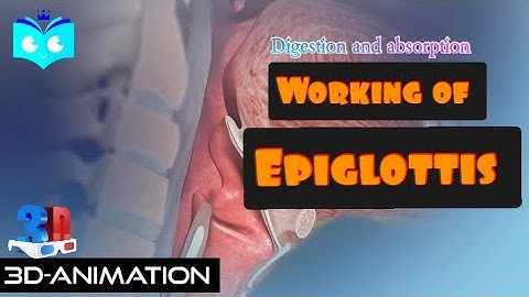 Class 11 neet |Digestion and absorption part 3| 3D-Animation | NEET2023 #biology #neet2023