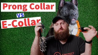 Are Prong Collars and ECollars Dangerous? | Which is RIGHT for your AKITA | The Akita Life