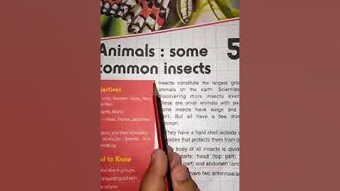 Class 3 Subject-General Science Ch-5 Animals: some common insects (Part-4)