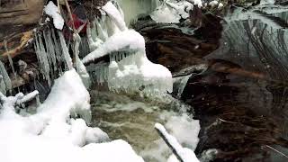 Flowing Creek in Winter Time (Panasonic GH5 + DJI RSC 2) 4K