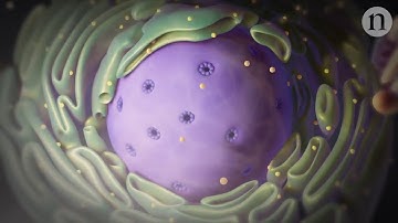 CRISPR Cas 9 animated gene editing and beyond