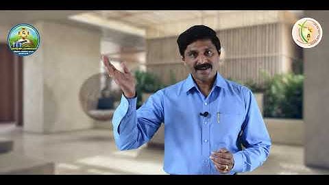 Sunday Catechism | Standard 12 | Chapter 4 | Part 2 | Jiji Vattamala