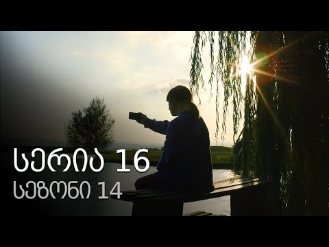 ჩემი ცოლის დაქალები - სერია 16 (სეზონი 14)