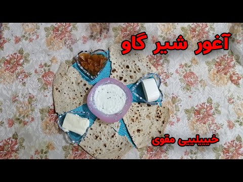 طرز تهیه آغوز شیر گاو خوشمزه و مقوی صبحانه خوشمزه و مقوی