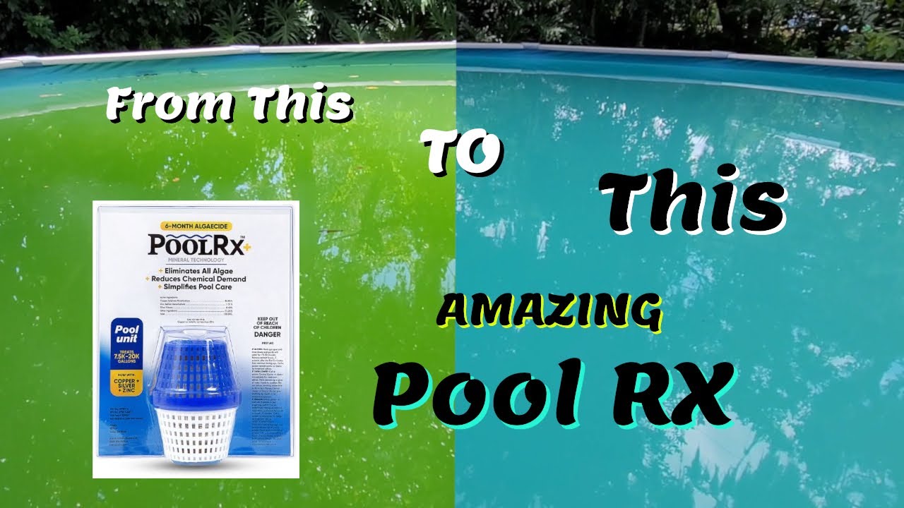 POOL RX...Amazing GET RID OF NASTY ALGAE...6 MONTH CLEAN POOL RX