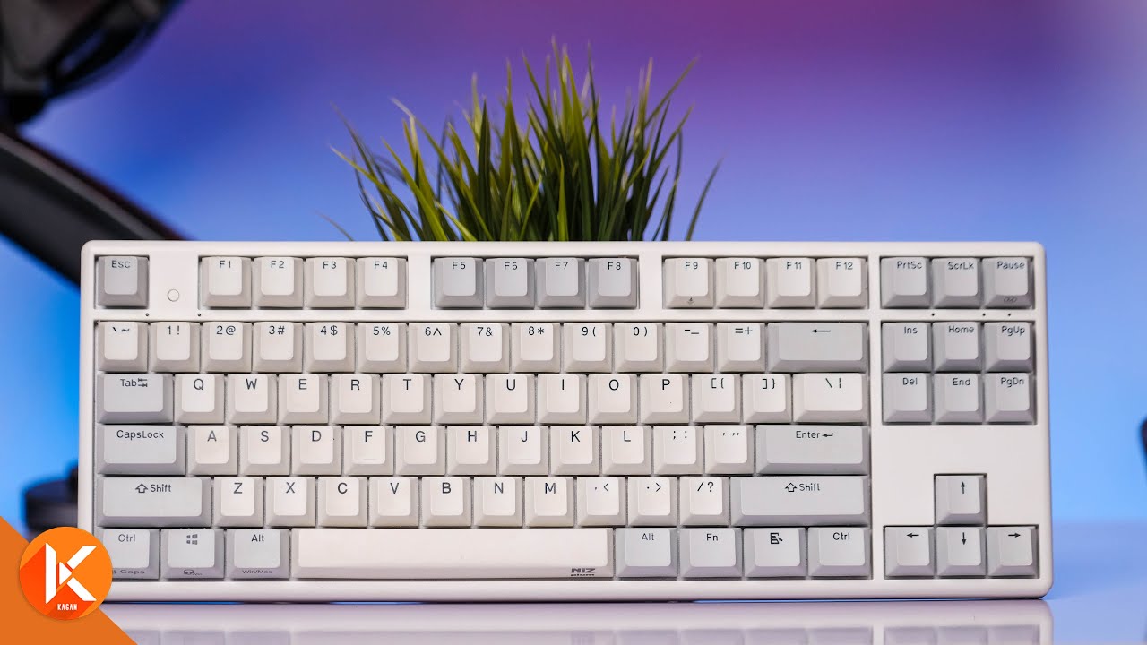 Niz Plum x87 ec 35g Electro-Capacitive Keyboard Review - YouTube