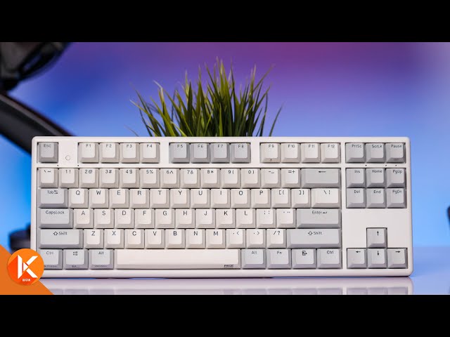Niz Plum x87 ec 35g Electro-Capacitive Keyboard Review - YouTube