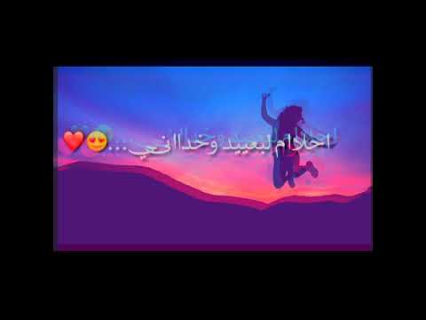 حالات واتس انستغرام حب اغنيه بطير من تاني
