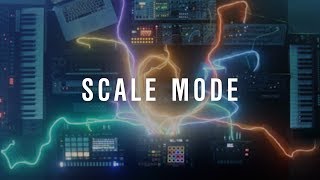 TORAIZ “SQUID” Multitrack Sequencer Tutorials: Scale Mode
