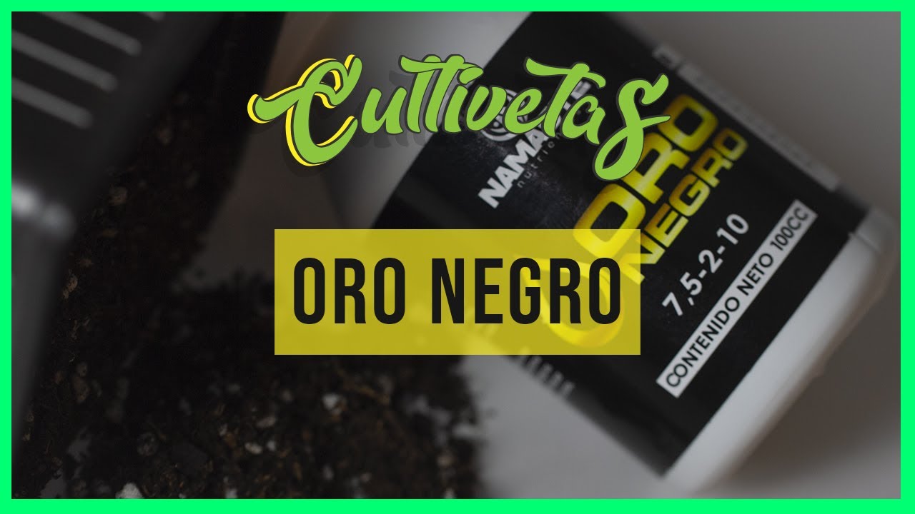 ORO NEGRO!