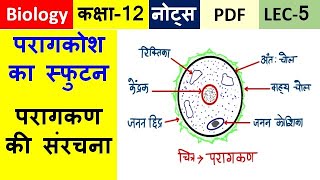 परागकोश का स्फुटन एवं परागकण की संरचना  L-5 Biology Class 12 Chapter 1 Notes PDF in Hindi Download