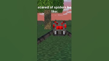 scared fo spiders:  #minecraft #minecraftanimation #comedy #xr