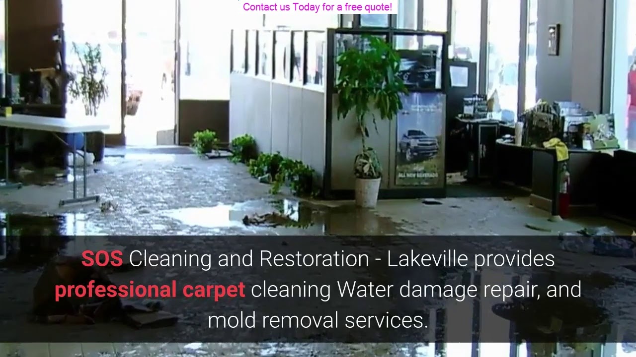 Carpet Cleaning Lakeville MN - SOS - 952-314-8588