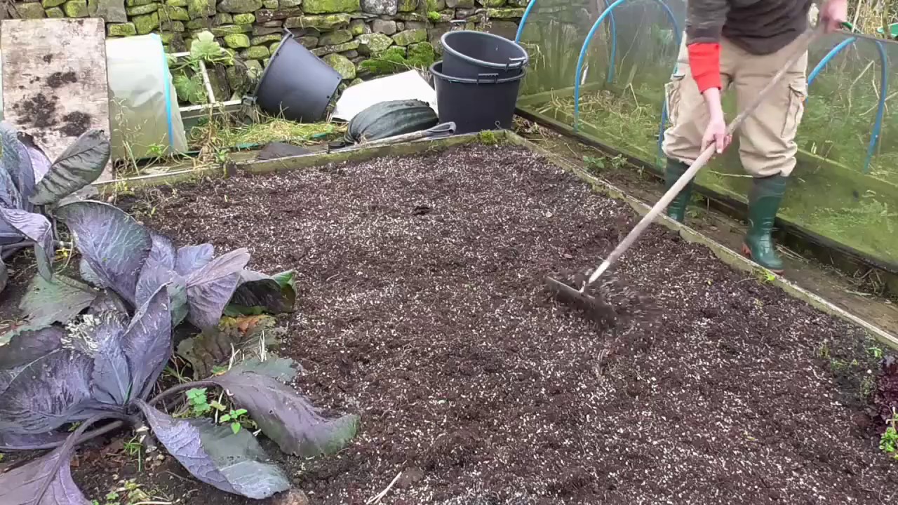 Allotment Diary No More Digging For Me My Dig Method You
