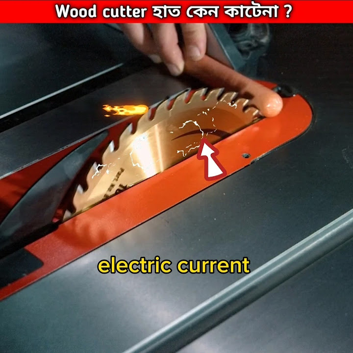 Wood cutter হাত কেন কাটে না? 🤔 How Sawstop Works sawstop saw saving