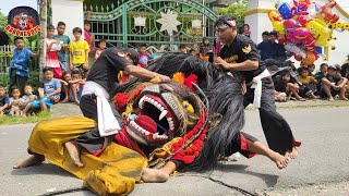 BARONGAN KESURUPAN NGAMUK, BARONGAN GALAK  !! Barongan Singo Rogo Wongso