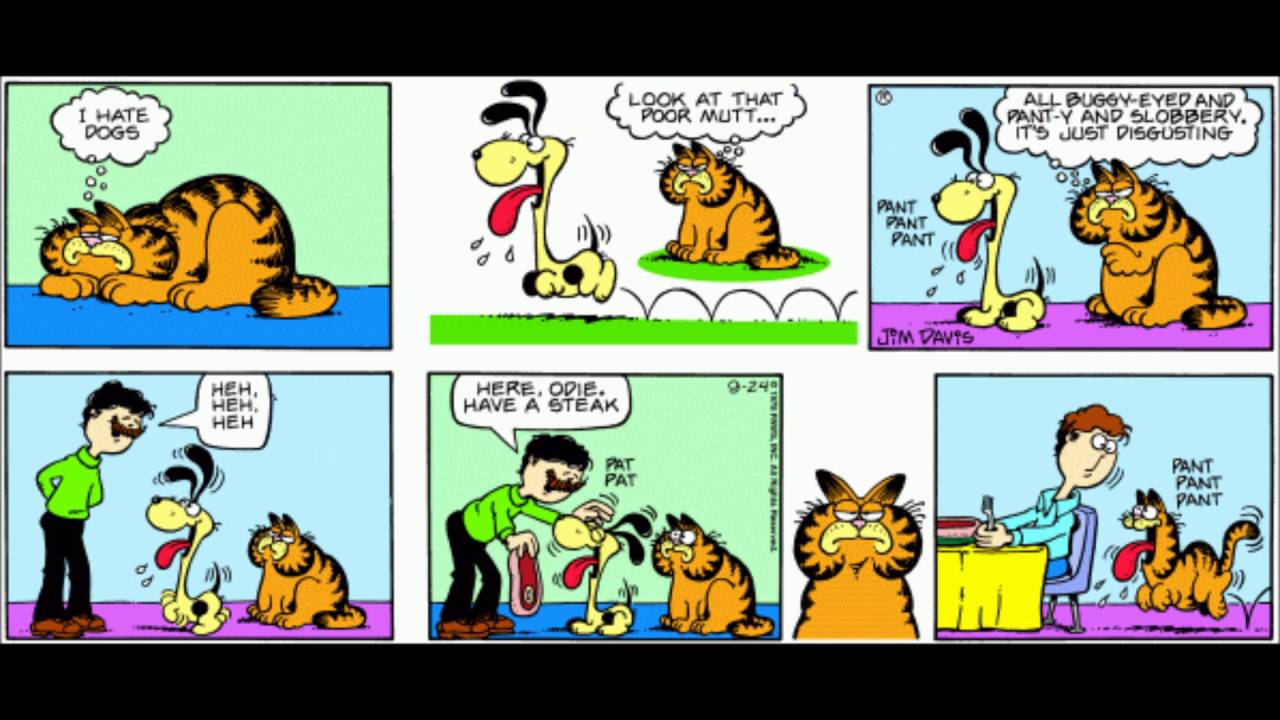 Complete Garfield Comic  Strips  1978 YouTube