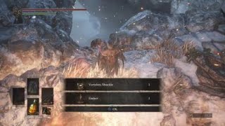 Dark Souls 3 Invasion - I will literally follow you to hell