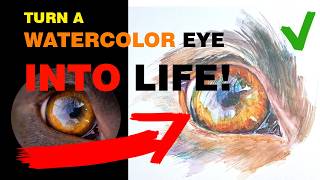 How to Paint a REALISTIC Dog Eye in Watercolor 🐶🎨 | Step-by-Step Masterclass