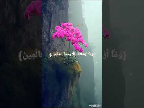 و م ا أ ر س ل ن اك إ ل ا ر ح م ة ل ل ع ال م ين 