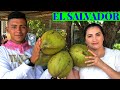 Videos de El Salvador