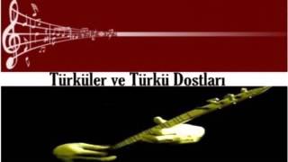 türk halk müziği karışık