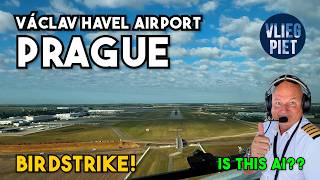 Bird Strike on Final! | Boeing 737 Landing in Prague