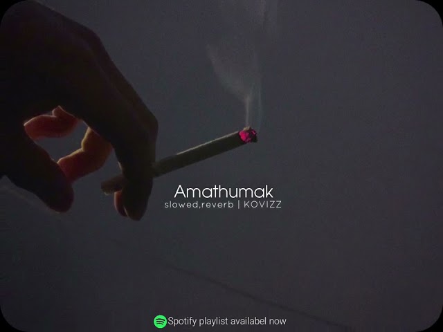 Amathumk / ඇමතුමක් (slowed,reverb) class=