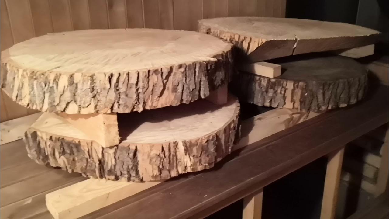 Спилы дерева для декора. Как сушить спилы. Как сушить спилы. Спил березы. Сушка спилов дерева без трещин.