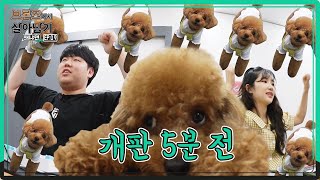 나무야🌲 엄마가 AP 미포로 멋진 모습 보여줄게!🔫 | [왜냐맨 외전 EP.9]