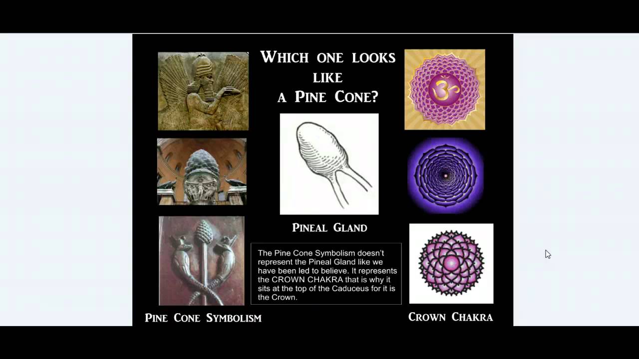 Pineal Glands and Enlightenment Physical or Spiritual