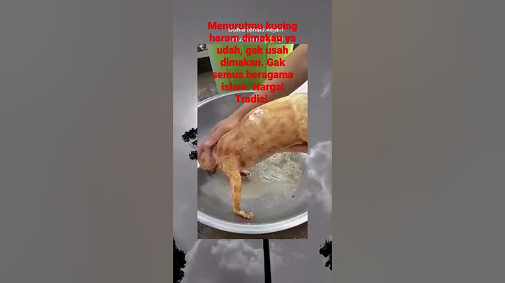 Makan Kucing, Dibuat rica-rica. makanan ini NON HALAL Bagi islam. Tidak suka Skip Saja.