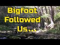 Bigfoot Followed Us, Catskills NY Sasquatch Encounter